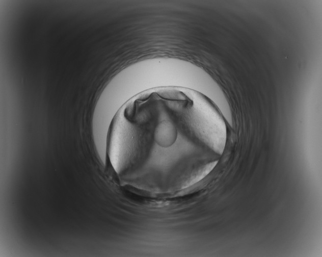 X0000087580276200705251847