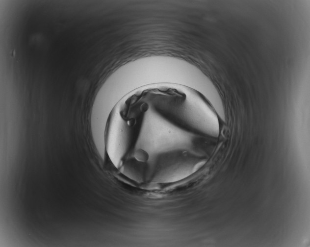 X0000087580280200705251847