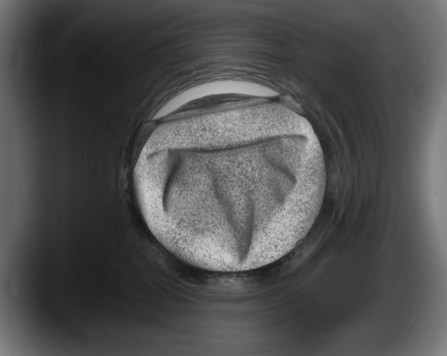 X0000087580282200705251847