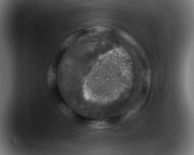 X0000087580284200705251847