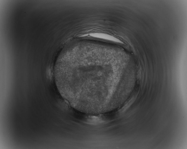 X0000087580285200705251847