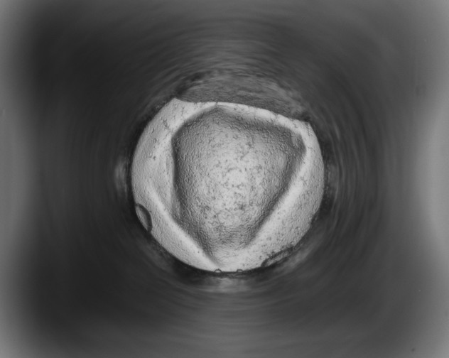 X0000087580286200705251847