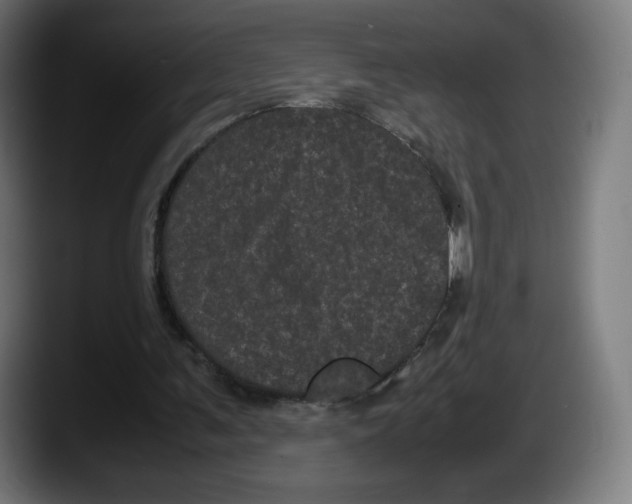 X0000087580291200705251847