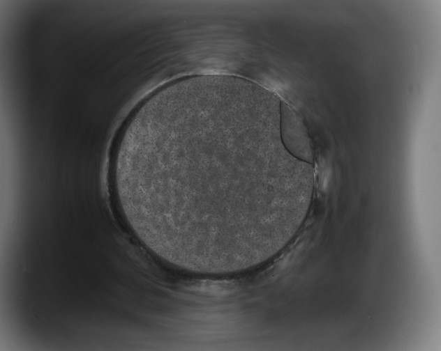 X0000087580292200705251847