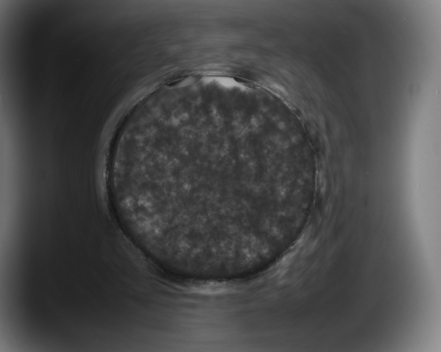 X0000087580293200705251847
