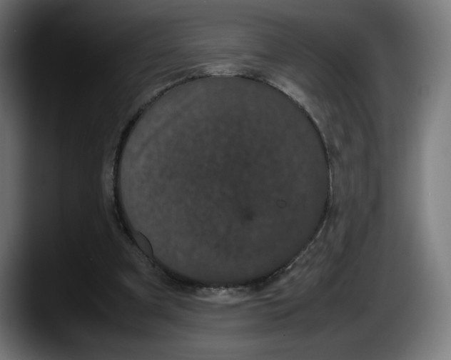 X0000087580297200705251846