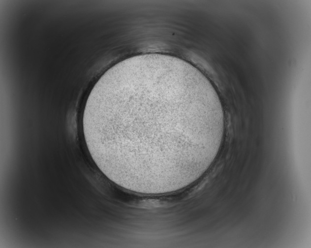 X0000087580298200705251846