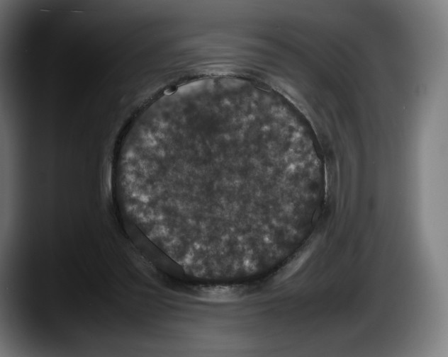 X0000087580301200705251846