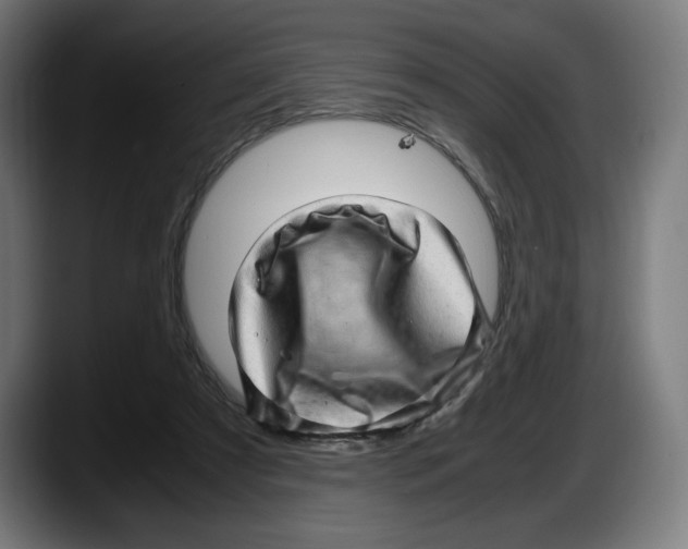 X0000087580305200705251846