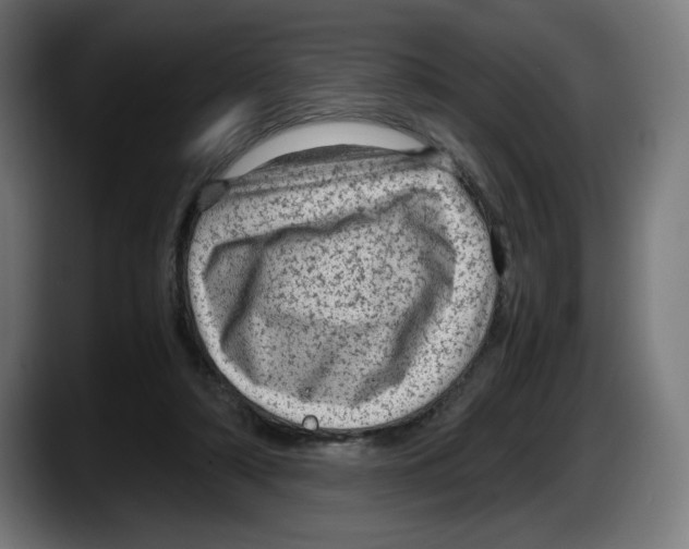X0000087580306200705251846