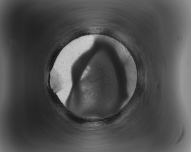 X0000087580307200705251846