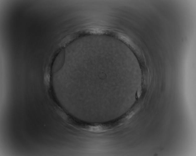 X0000087580309200705251846
