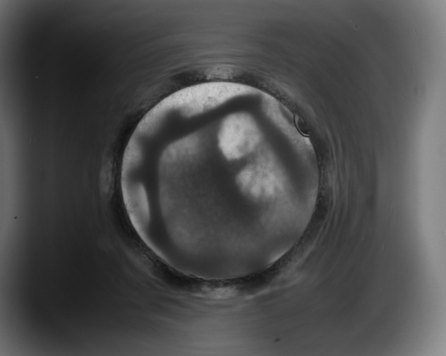 X0000087580311200705251846
