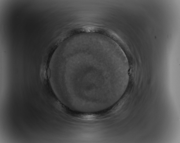 X0000087580313200705251846
