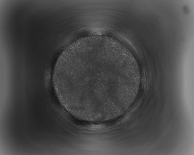 X0000087580314200705251846