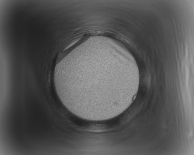 X0000087580315200705251846
