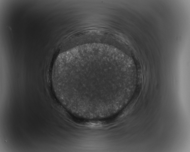X0000087580317200705251846
