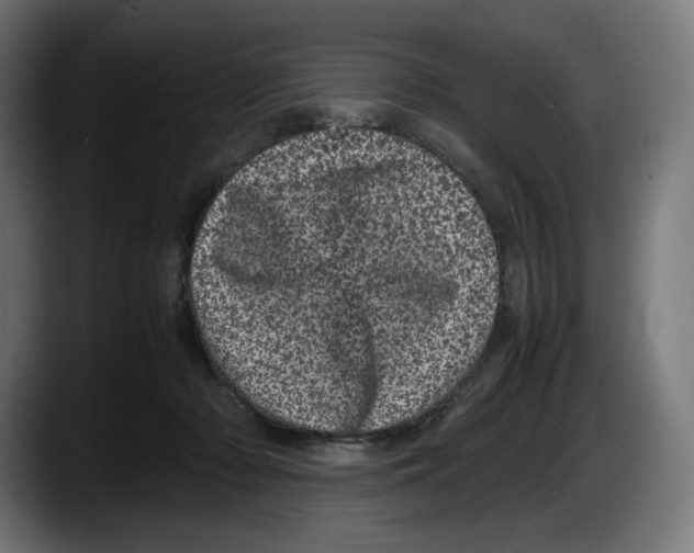 X0000087580318200705251846
