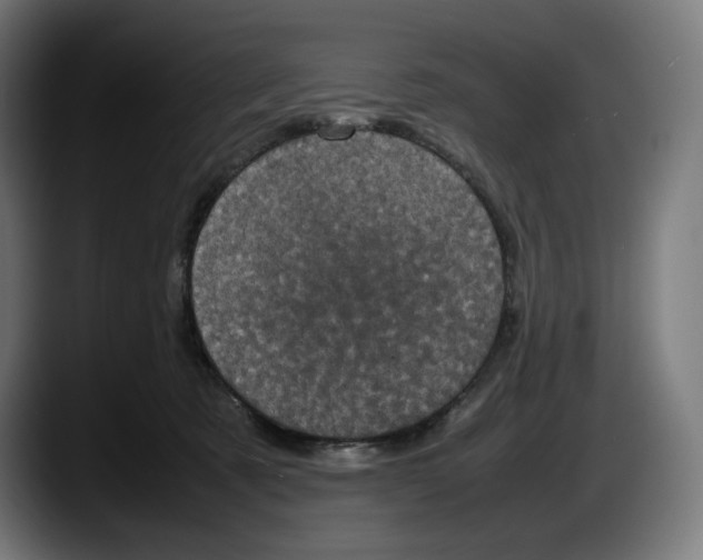 X0000087580321200705251846