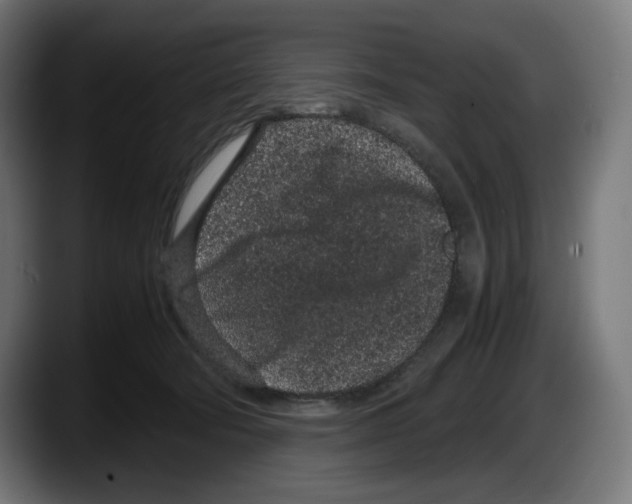 X0000087580322200705251846