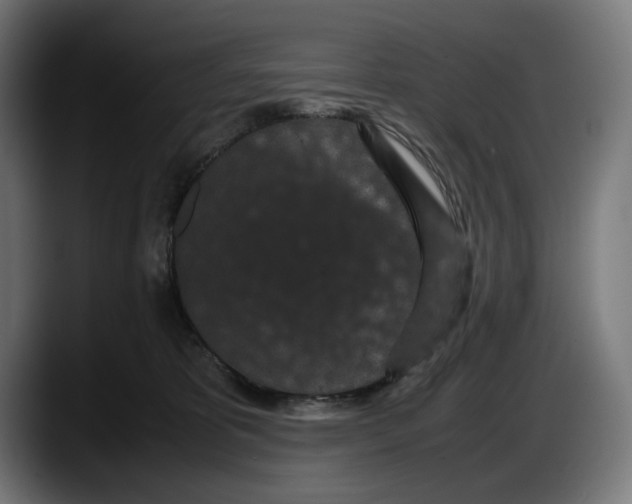 X0000087580325200705251846
