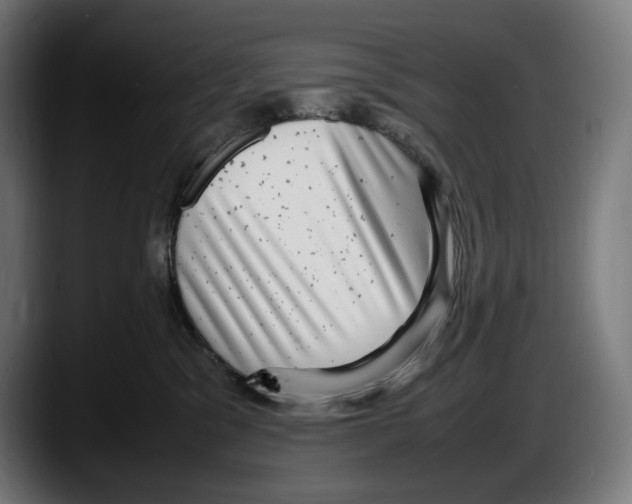 X0000087580329200705251846