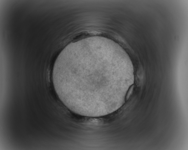 X0000087580330200705251846