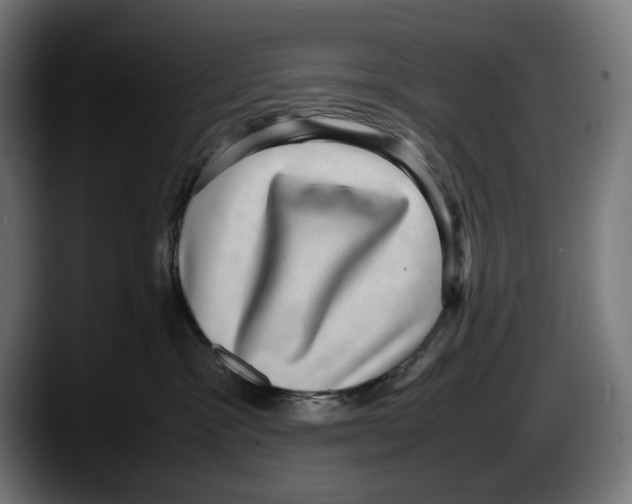 X0000087580333200705251846