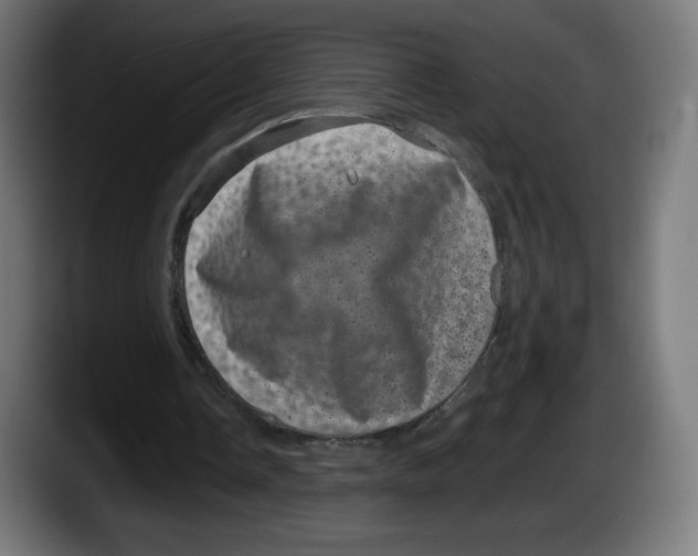 X0000087580338200705251845
