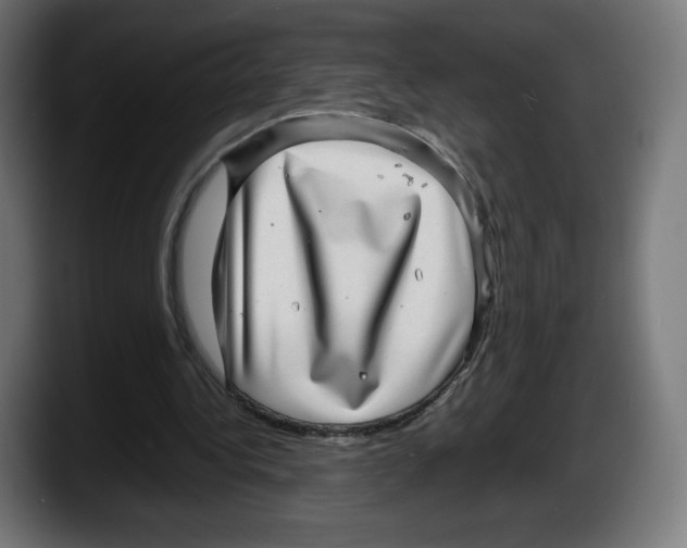X0000087580340200705251845