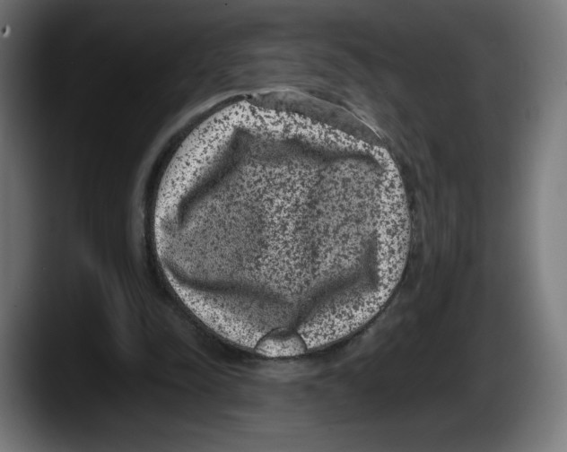 X0000087580342200705251845