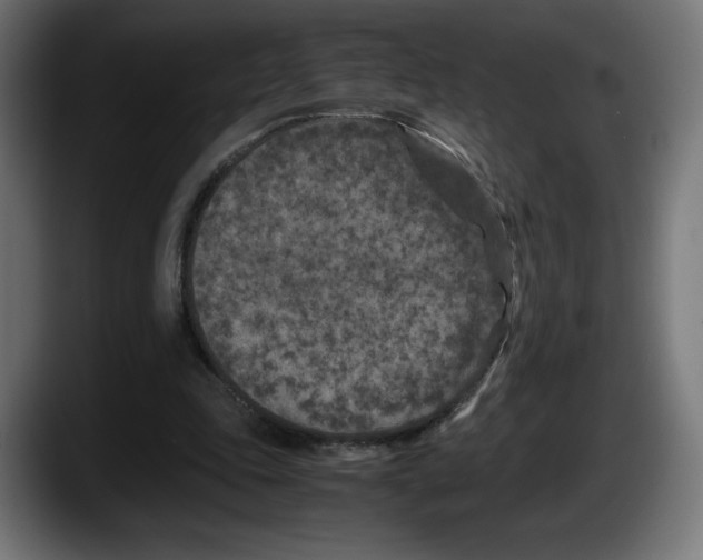 X0000087580343200705251845