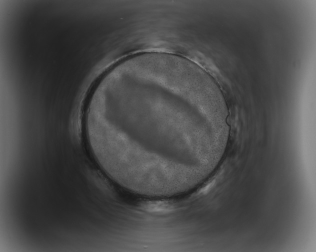 X0000087580344200705251845