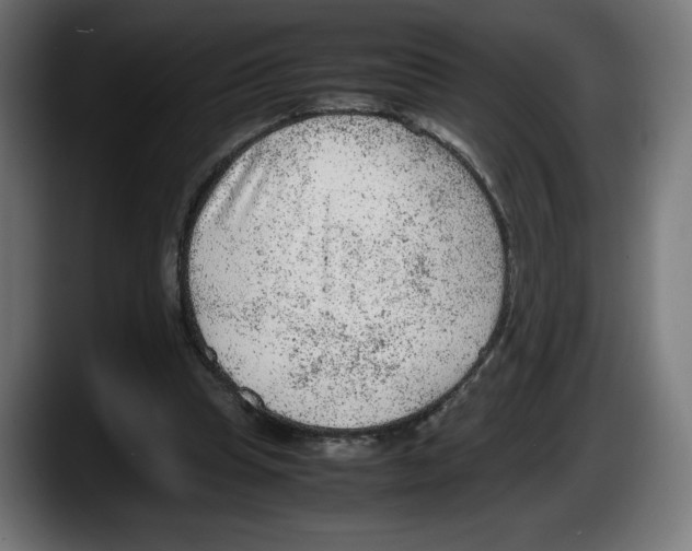 X0000087580345200705251845