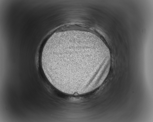 X0000087580346200705251845