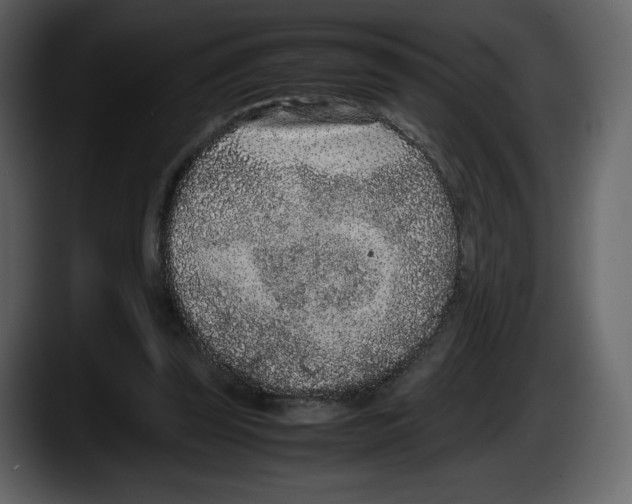 X0000087580347200705251845