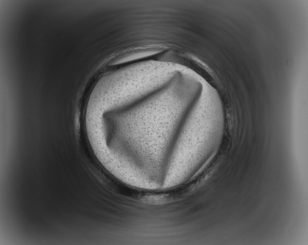X0000087580350200705251846