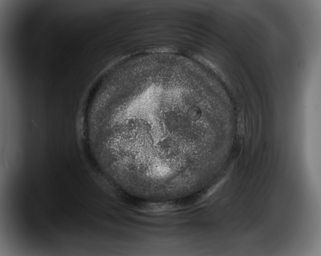 X0000087580351200705251846