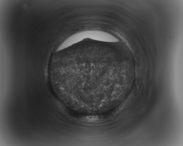 X0000087580353200705251846