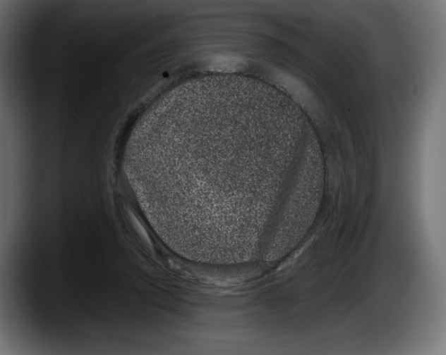 X0000087580354200705251846