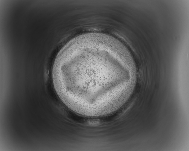 X0000087580355200705251846