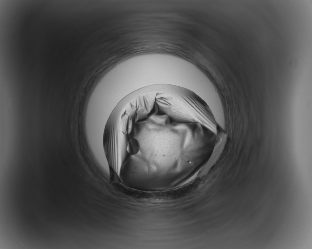 X0000087580356200705251846