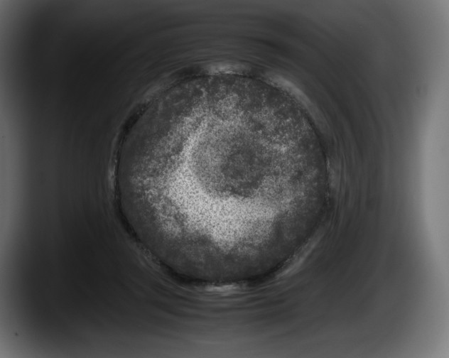 X0000087580357200705251846