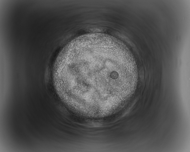 X0000087580359200705251846
