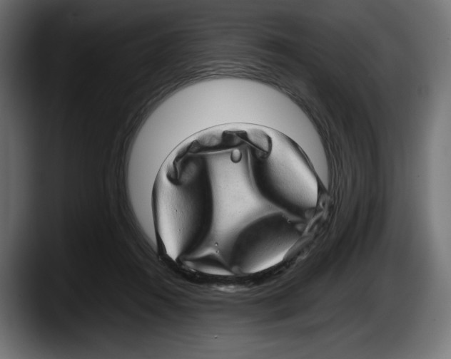 X0000087580360200705251846