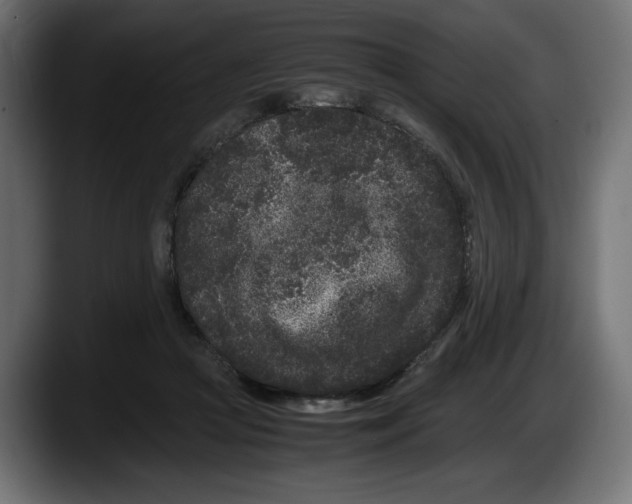 X0000087580361200705251846