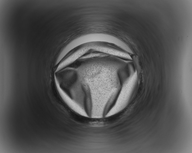 X0000087580362200705251846