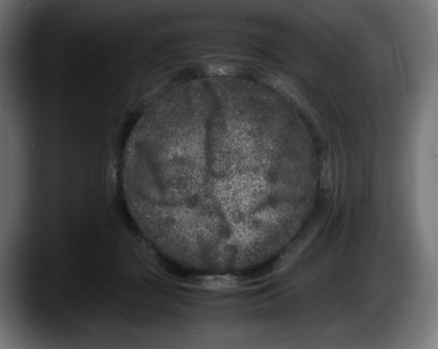 X0000087580363200705251846