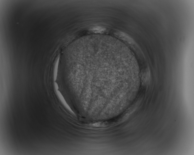 X0000087580365200705251846