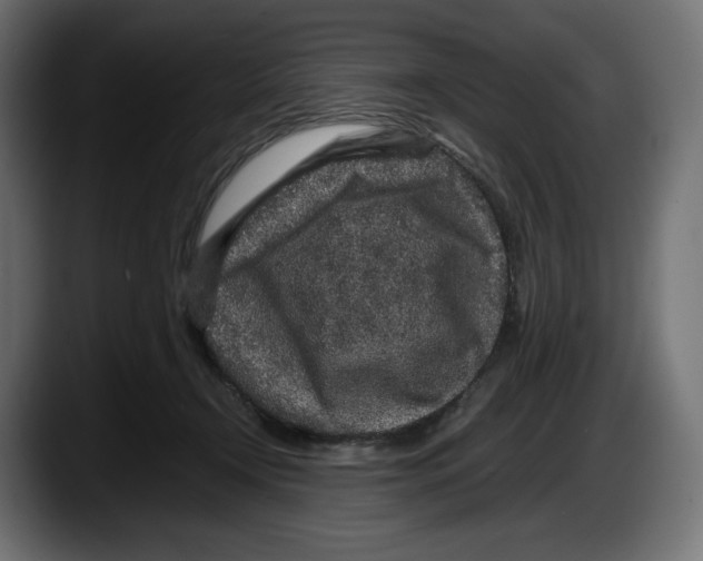 X0000087580366200705251846